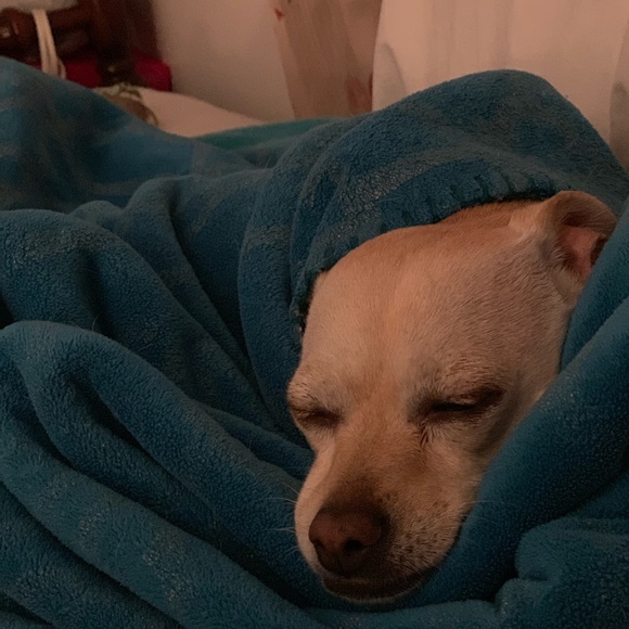 Meet your Posher, Shelley - Picture 2 of 7